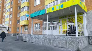 Фотография Львёнок 3
