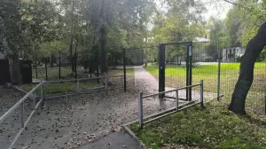 Фотография Детский сад №85 0