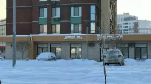 Фотография Медвежонок 5