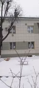 Фотография Умка 3