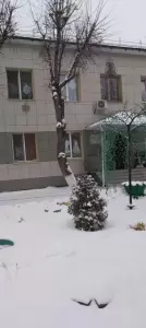 Фотография Умка 5